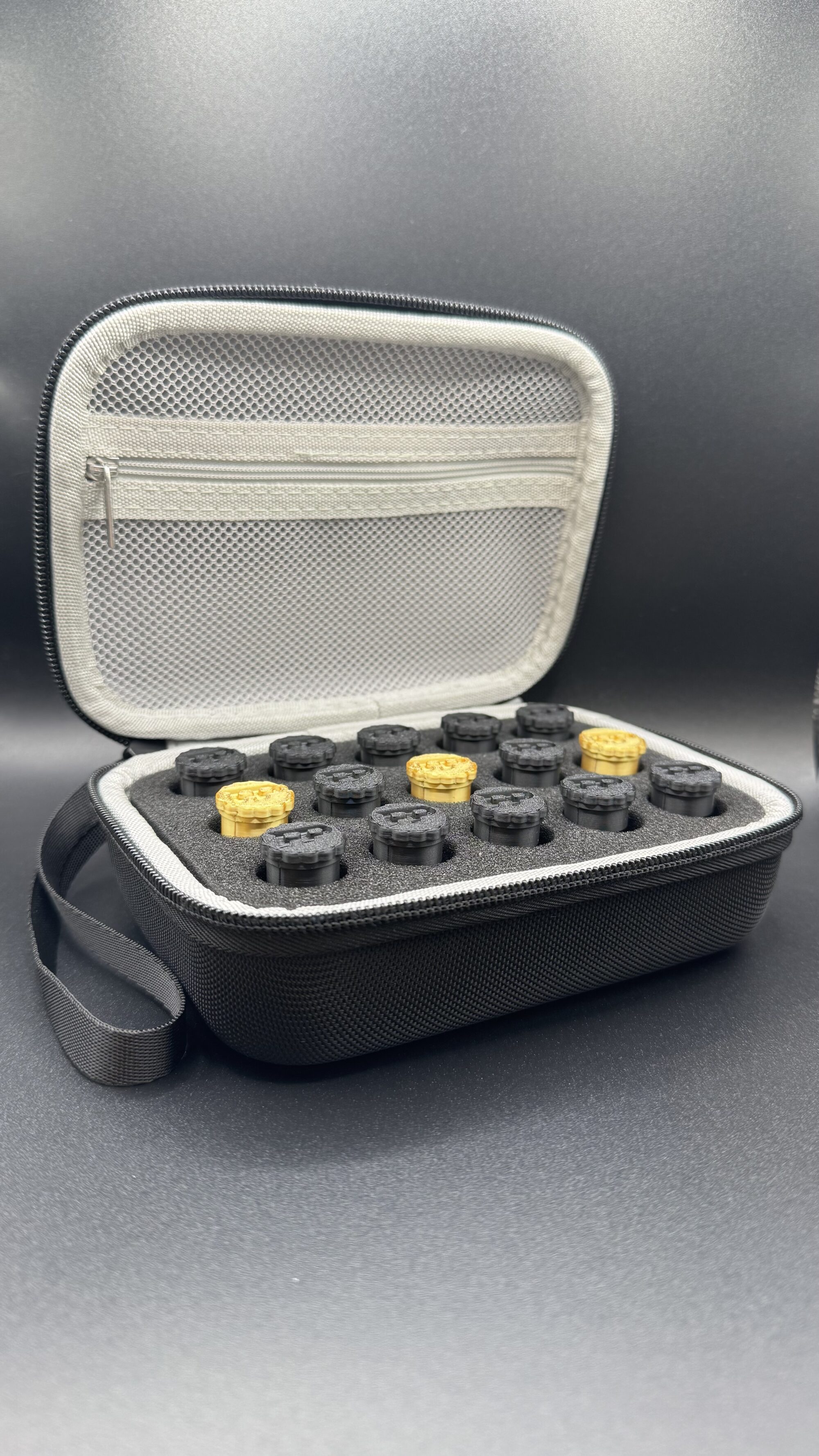 Case and holder